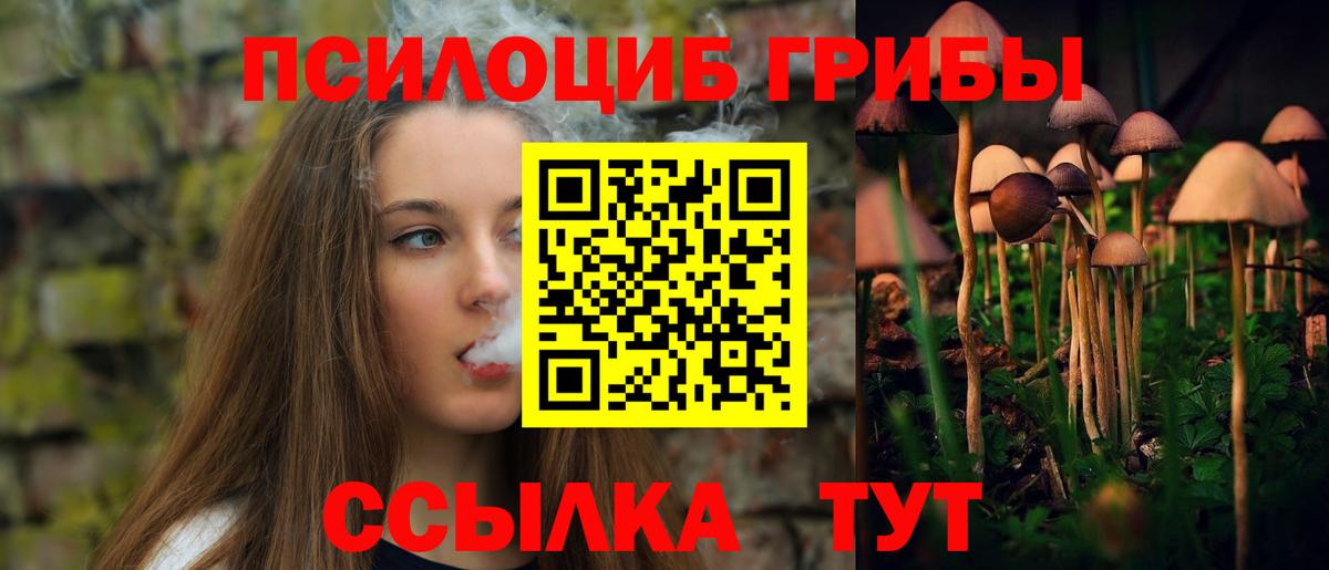 ГАШ Новошахтинск